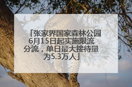 张家界国家森林公园6月15日起实施限流分流，单日最大接待量为5.3万人