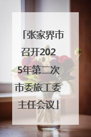 张家界市召开2025年第二次市委旅工委主任会议
