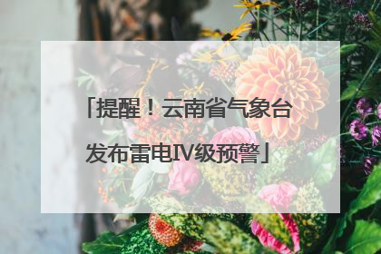 提醒！云南省气象台发布雷电Ⅳ级预警