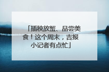 插秧放蟹、品尝美食！这个周末，吉报小记者有点忙