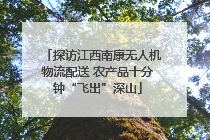 探访江西南康无人机物流配送 农产品十分钟“飞出”深山