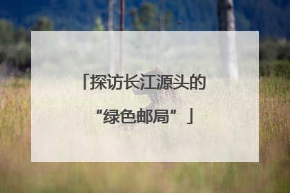 探访长江源头的“绿色邮局”