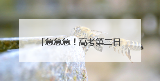 急急急！高考第二日考生“花式”出状况，民警出招化解难关