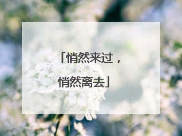 悄然来过，悄然离去