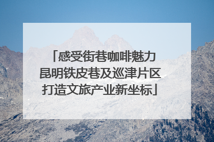 感受街巷咖啡魅力 昆明铁皮巷及巡津片区打造文旅产业新坐标