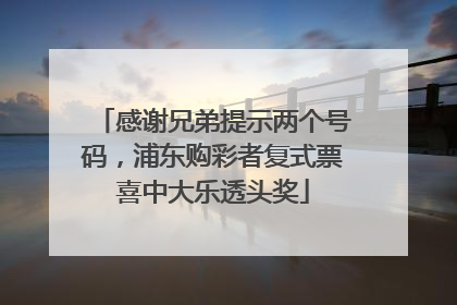 感谢兄弟提示两个号码，浦东购彩者复式票喜中大乐透头奖