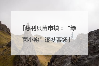 慈利县苗市镇：“绿茵小将”逐梦赛场