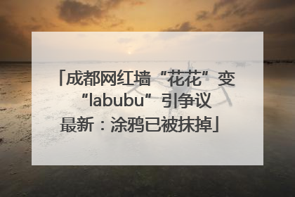 成都网红墙“花花”变“labubu”引争议 最新：涂鸦已被抹掉