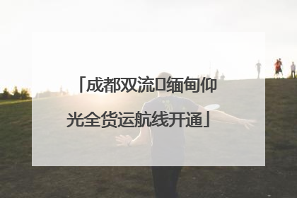 成都双流⇌缅甸仰光全货运航线开通