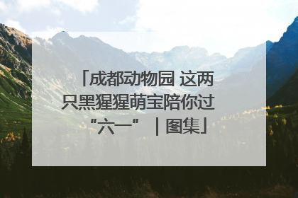 成都动物园 这两只黑猩猩萌宝陪你过“六一”｜图集