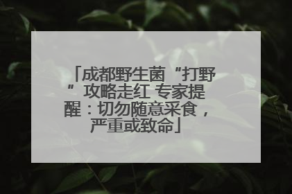 成都野生菌“打野”攻略走红 专家提醒：切勿随意采食，严重或致命