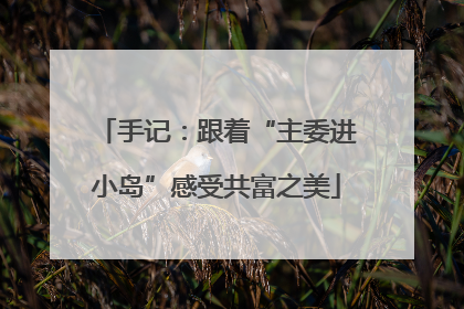 手记：跟着“主委进小岛”感受共富之美