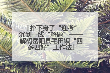 扑下身子“迎考” 沉到一线“解题”——解码岳阳县毛田镇“四多四好”工作法