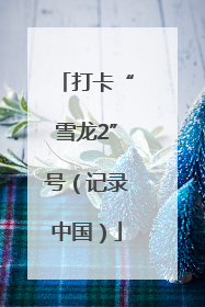 打卡“雪龙2”号（记录中国）