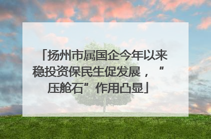 扬州市属国企今年以来稳投资保民生促发展，“压舱石”作用凸显