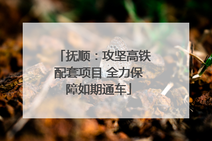 抚顺：攻坚高铁配套项目 全力保障如期通车