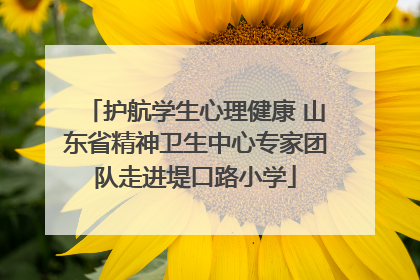 护航学生心理健康 山东省精神卫生中心专家团队走进堤口路小学