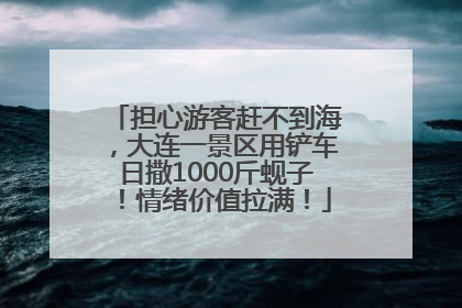 担心游客赶不到海，大连一景区用铲车日撒1000斤蚬子！情绪价值拉满！