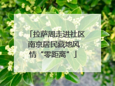 拉萨周走进社区 南京居民藏地风情“零距离”