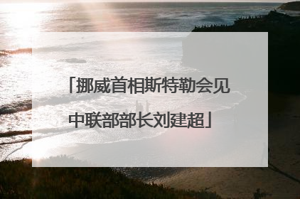 挪威首相斯特勒会见中联部部长刘建超
