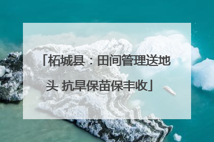 柘城县：田间管理送地头 抗旱保苗保丰收