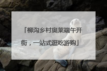 柳沟乡村奥莱端午开街，一站式逛吃游购