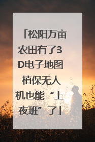 松阳万亩农田有了3D电子地图 植保无人机也能“上夜班”了