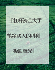 杠杆资金大手笔净买入的科创板股曝光