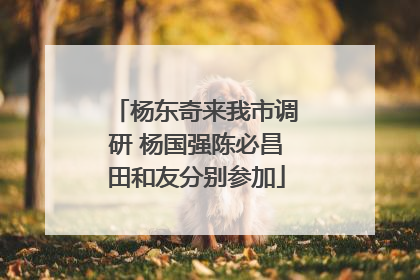 杨东奇来我市调研 杨国强陈必昌田和友分别参加