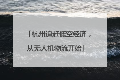 杭州追赶低空经济，从无人机物流开始