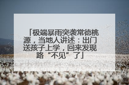 极端暴雨突袭常德桃源，当地人讲述：出门送孩子上学，回来发现路“不见”了