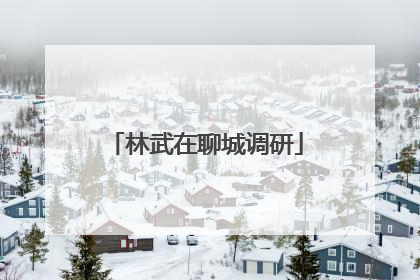 林武在聊城调研