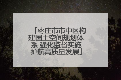 枣庄市市中区构建国土空间规划体系 强化监督实施护航高质量发展