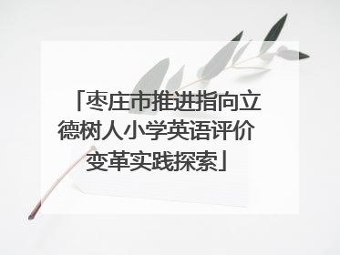 枣庄市推进指向立德树人小学英语评价变革实践探索