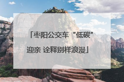 枣阳公交车“低碳”迎亲 诠释别样浪漫