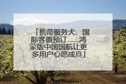 携带服务犬、国际客票预订……鸿蒙版中国国航让更多用户心愿成真