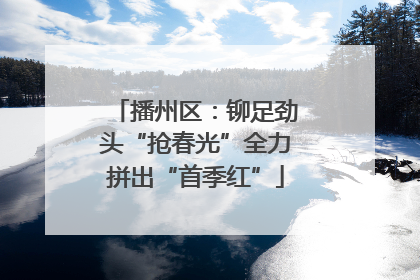 播州区：铆足劲头“抢春光”全力拼出“首季红”
