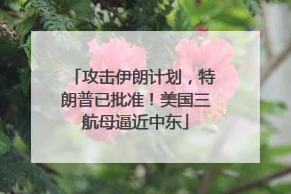 攻击伊朗计划，特朗普已批准！美国三航母逼近中东