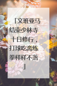 文班亚马结束少林寺十日修行，打球吃斋练拳样样不落