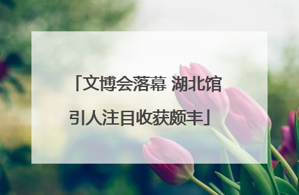 文博会落幕 湖北馆引人注目收获颇丰