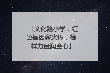 文化路小学：红色基因薪火传，榜样力量润童心