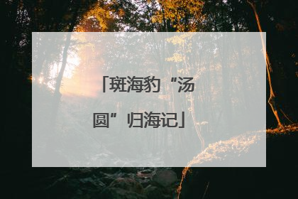 斑海豹“汤圆”归海记