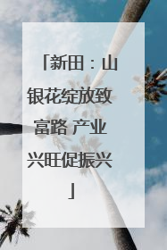 新田：山银花绽放致富路 产业兴旺促振兴