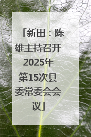 新田：陈雄主持召开2025年第15次县委常委会会议