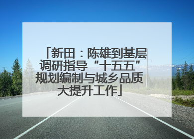 新田：陈雄到基层调研指导“十五五”规划编制与城乡品质大提升工作