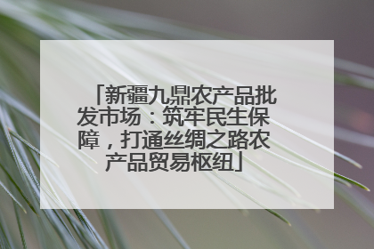 新疆九鼎农产品批发市场：筑牢民生保障，打通丝绸之路农产品贸易枢纽