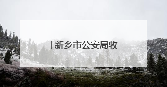 新乡市公安局牧野分局牧野派出所：深耕主防警务 守护辖区平安