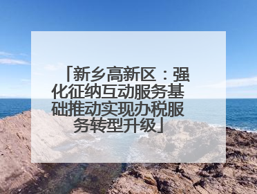 新乡高新区：强化征纳互动服务基础推动实现办税服务转型升级