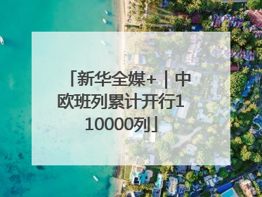 新华全媒+｜中欧班列累计开行110000列