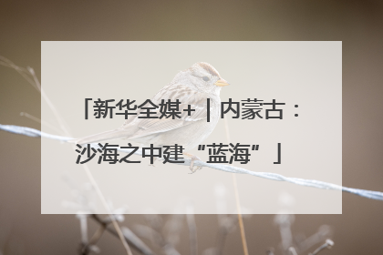 新华全媒+｜内蒙古：沙海之中建“蓝海”